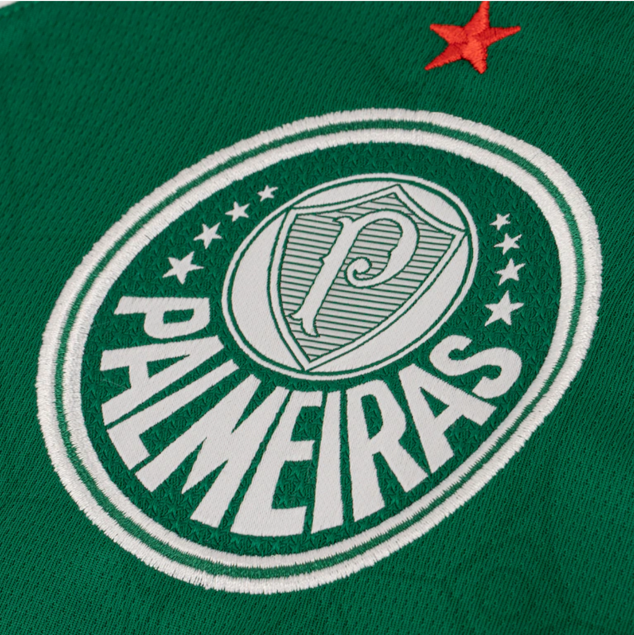 Camisa Palmeiras 25/26 - Feminina Super Mundial
