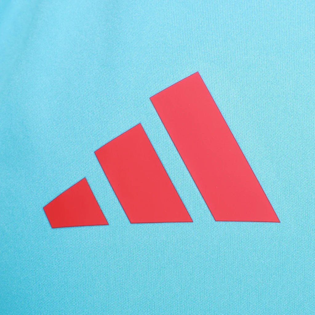 Regata Flamengo CRF de Treino 25/26 - Azul