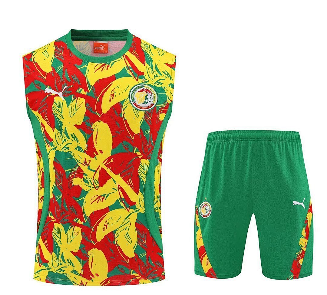 Senegal 2025 Training Kit - No Sleeve