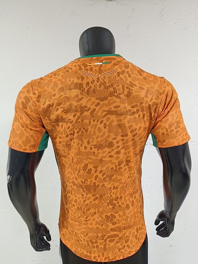 Ivory Coast World Cup 2026 Jersey - Player Version