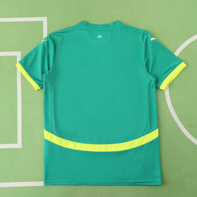 Senegal Away Jersey 2025