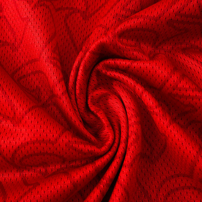 Arsenal Player Home Jersey 2025/26 Long Sleeve