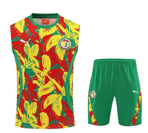 Senegal 2025 Training Kit - No Sleeve