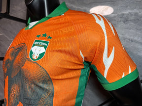 Ivory Coast Special Edition Orange Jersey - Player Version