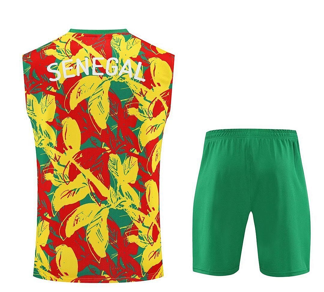 Senegal 2025 Training Kit - No Sleeve