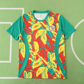 Senegal Pre-Match Jersey 2025