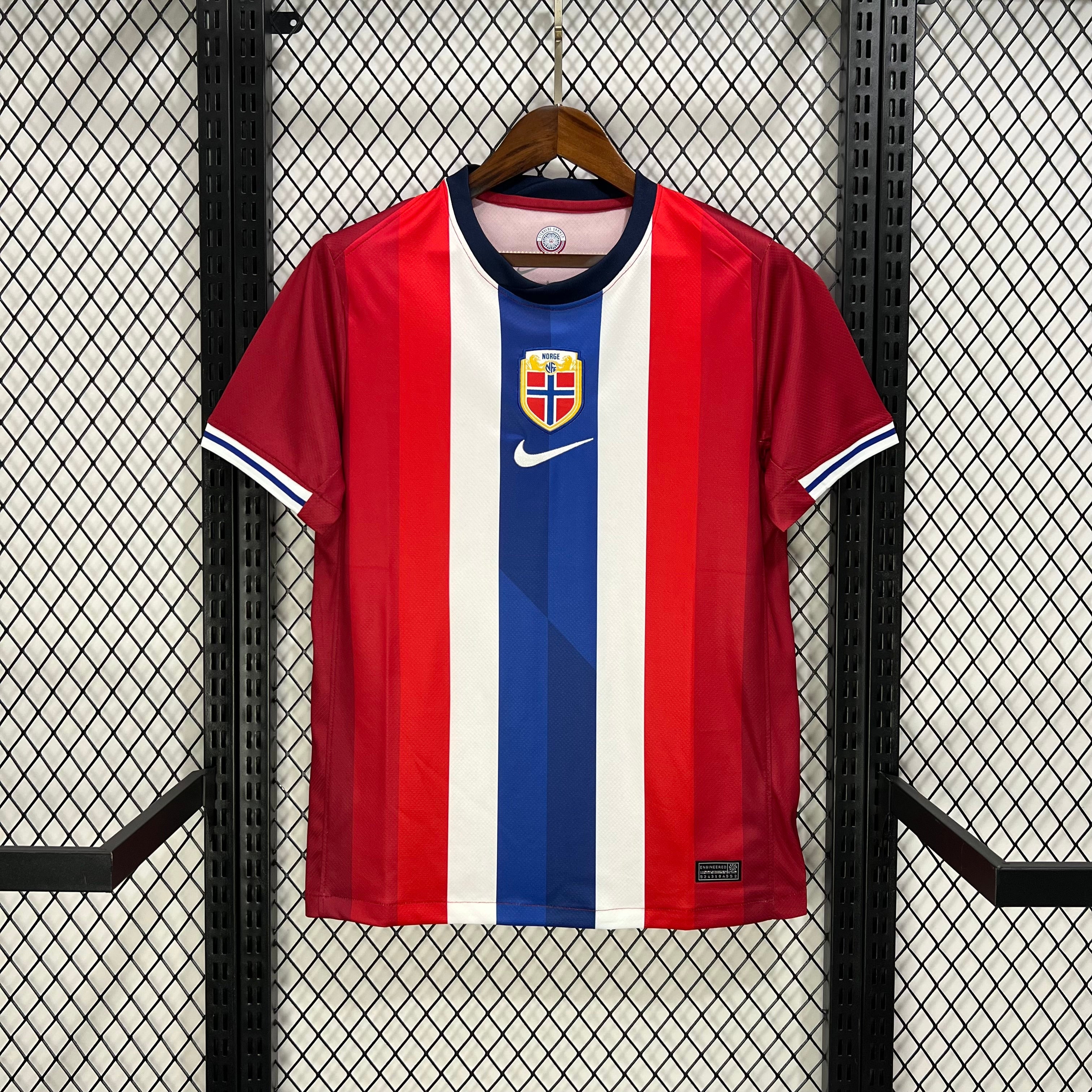 #10 ﾃ賄egaard Norway Home Jersey 2024/2025