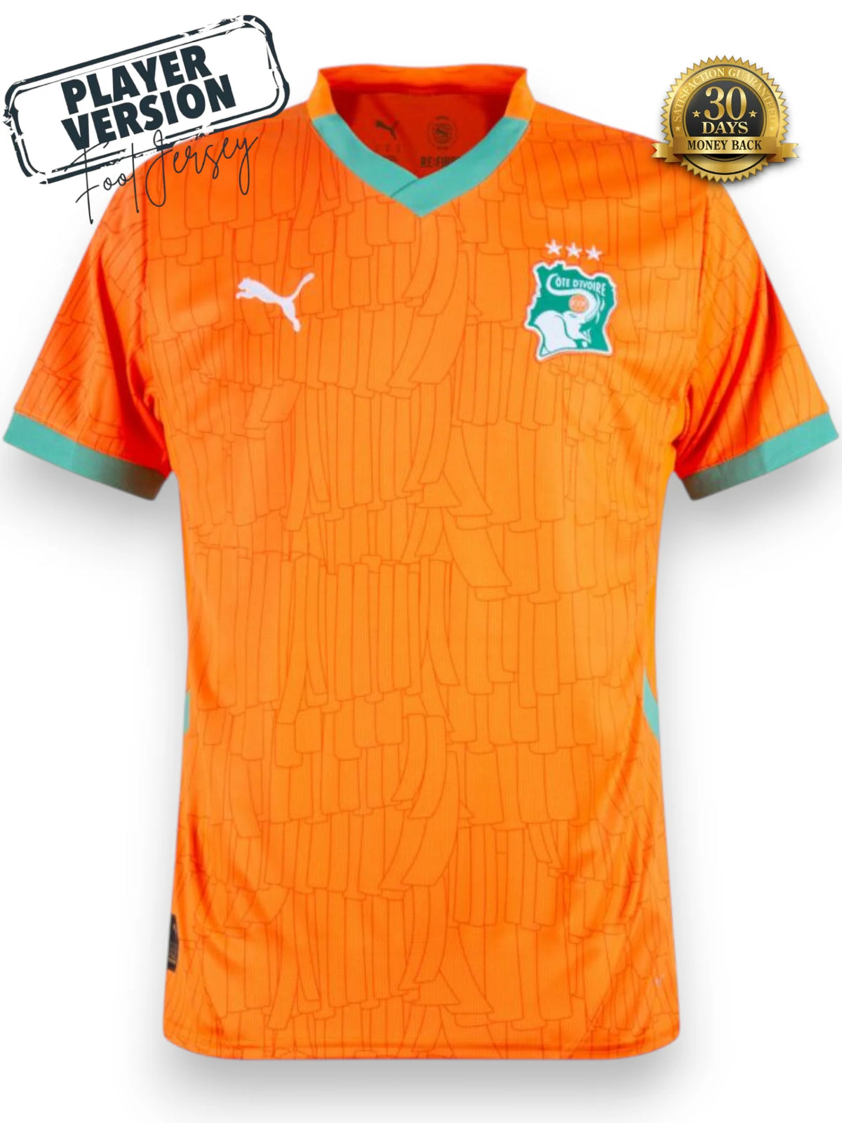 Ivory Coast Home 2025 Jersey - Player Version